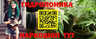 гашик Ипатово